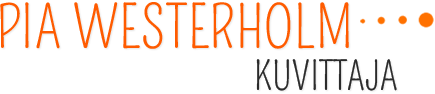 Pia Westerholm, kuvittaja