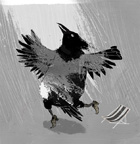 Pia Westerholm - printit