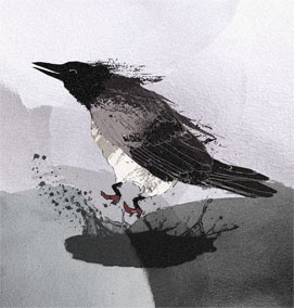 Varis lätäkössä. <em>Tilauskoodi: printti-44</em>